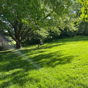 Meet your Posher, Sierra